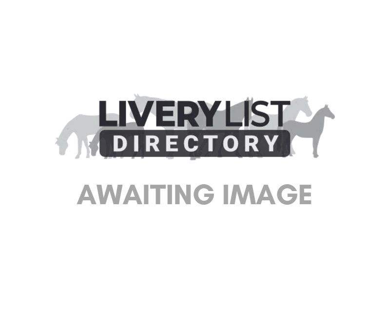 Tor Fenwick Dressage